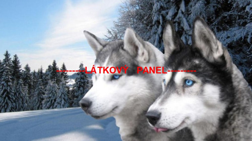 Bavlněný panel vel.A5 — foto 1