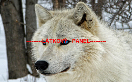 Bavlněný panel vel.A5 — foto 1