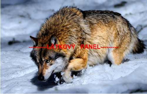 Bavlněný panel vel.A5 — foto 1