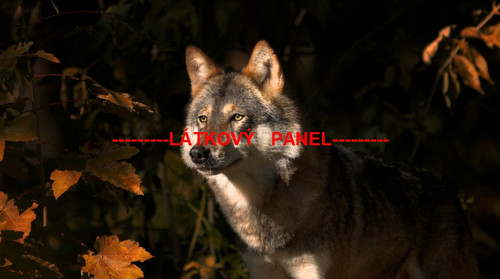 Bavlněný panel vel.A5 — foto 1