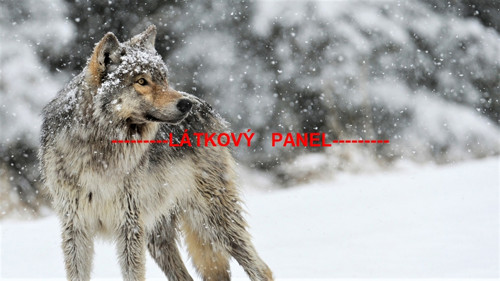 Bavlněný panel vel.A5 — foto 1