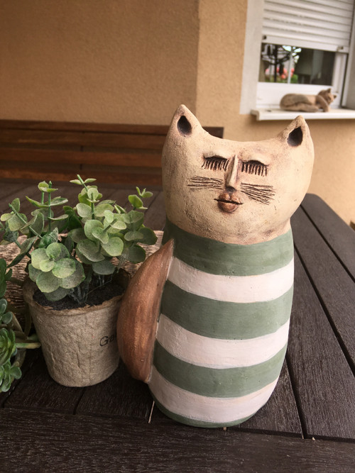 Kočka s pruhy — foto 1