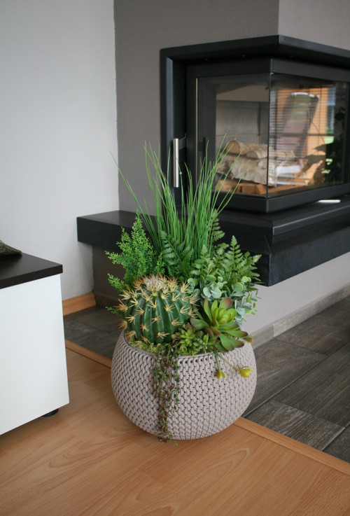 Velký pletený obal se sukulenty — foto 1
