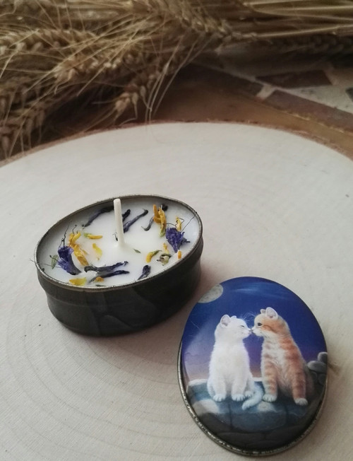Recyklace roztomilosti — foto 1