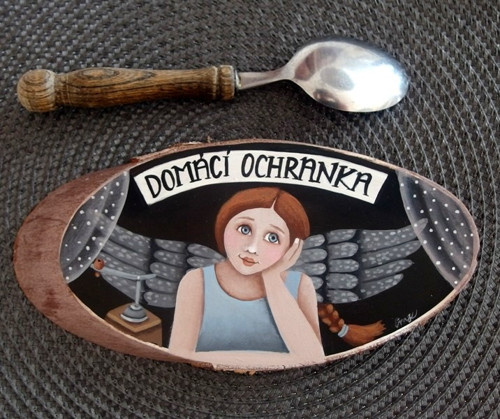 Domácí ochranka — foto 1