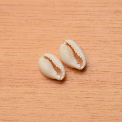 Mušle cowrie - 13-16 mm - přírodní