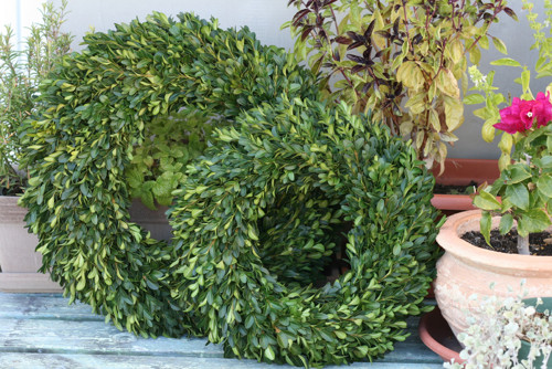 VĚNEČEK Z BUXUSU (průměr 35-37cm) — foto 1