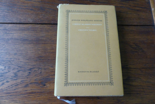 Utrpení mladého Werthera, Spříznění volbou, Goethe