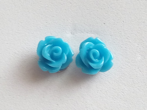 Růžička modrá — foto 1