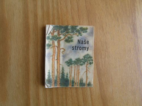 Naše stromy — foto 1