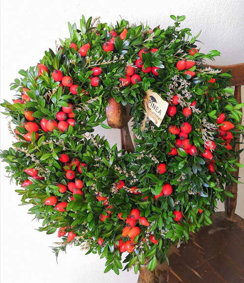 Podzimní šípkový — foto 1