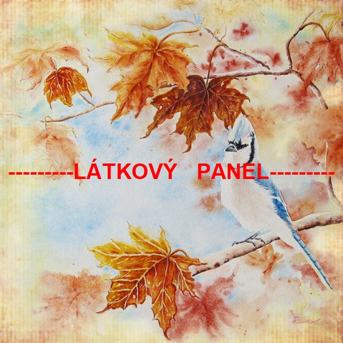 Bavlněný panel 15 X 15 cm — foto 1