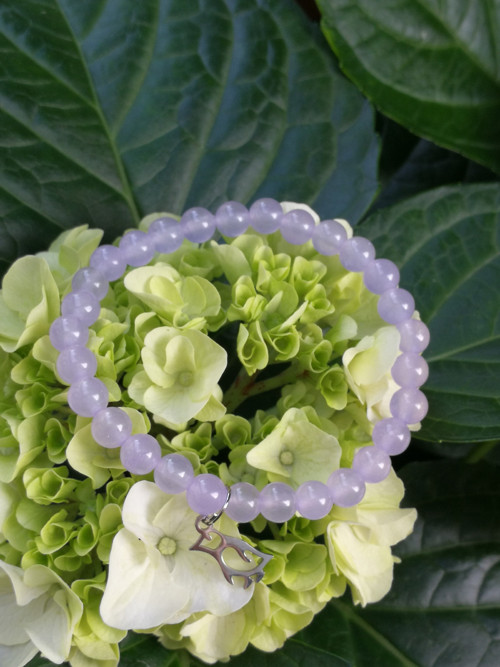 Chalcedon violet, tučňák — foto 1