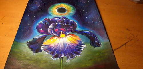 Iris - přáníčko — foto 1