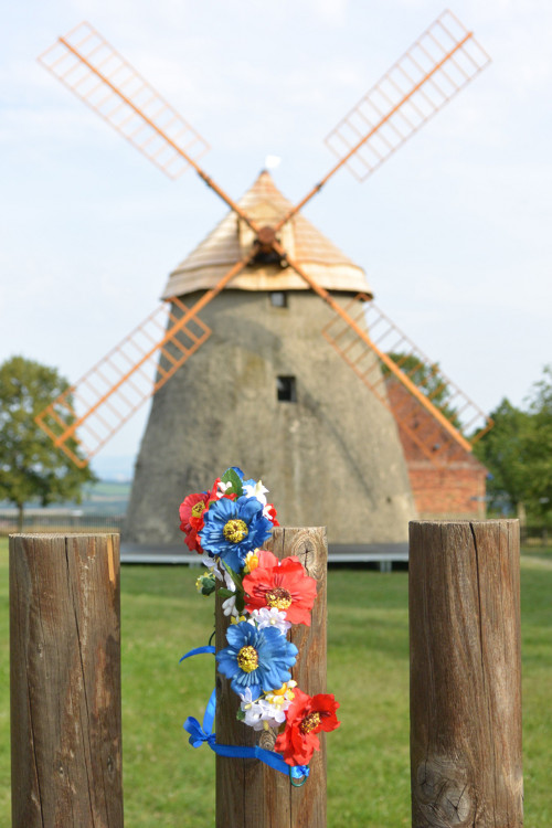 Věneček folkies — foto 1