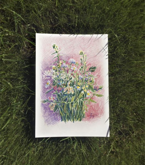Platan Kytice — foto 1
