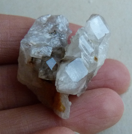 Záhněda ČR - 3,5 cm — foto 1