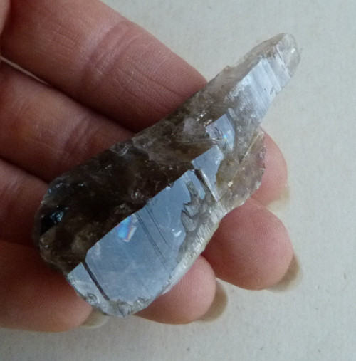Záhněda ČR - 6,5 cm — foto 1