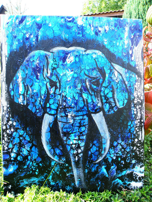 Slon africký - akryl na plátně - 40x50 cm