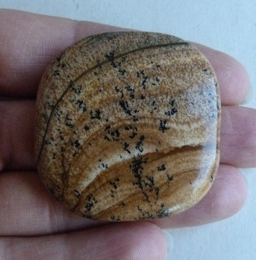 Jaspis obrázkový - 4,3 cm - Extra