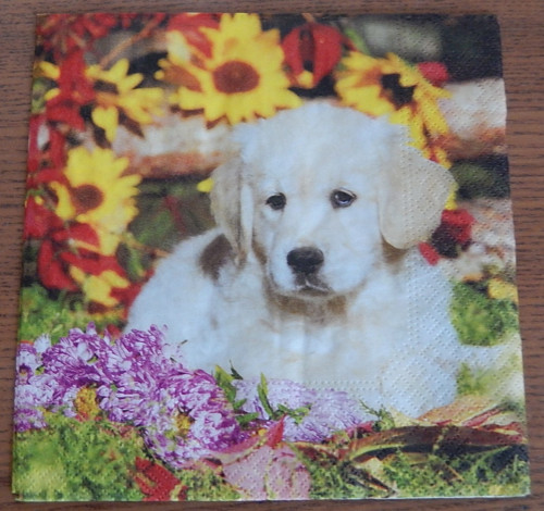 Ubrousek na decoupage - pejsek v květinách