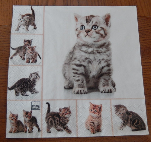 Ubrousek na decoupage - mourovatá koťata