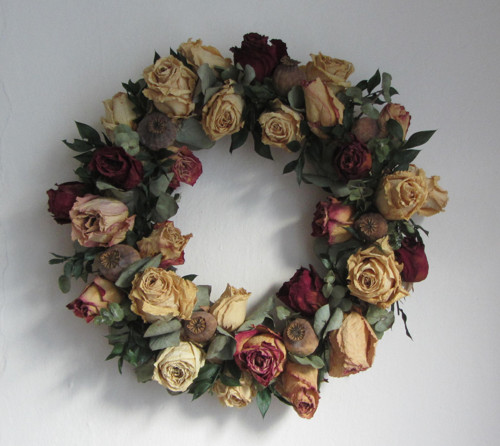 Růže — foto 1