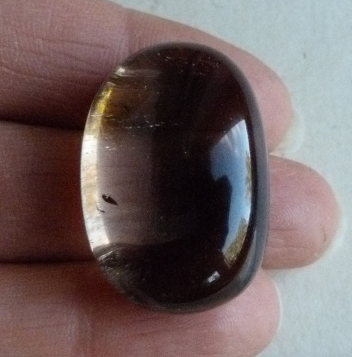 Záhněda - 3,1 cm - Extra