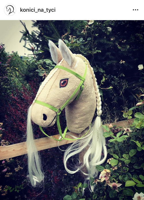 Palomino s dlouhou hřívou — foto 1