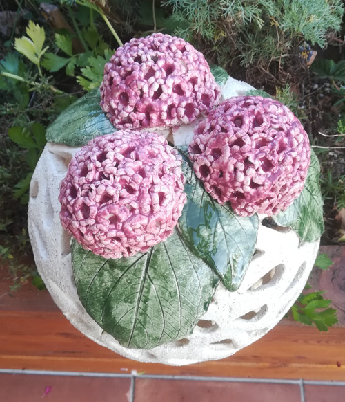 Koule s Hortensii — foto 1