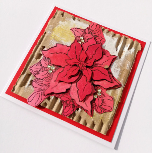 Přání - Poinsettia No.1