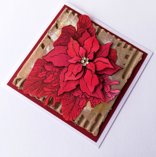 Přání - Poinsettia No.2