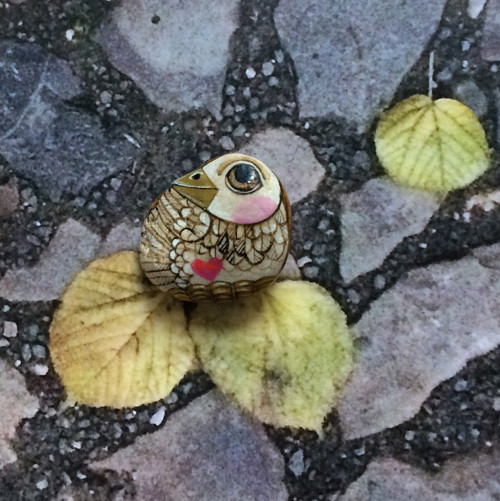 Štěstílek se srdíčkem — foto 1