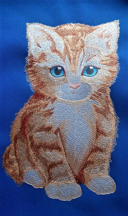 1244 - Kotě - výšivka - panel 40 x 50 cm