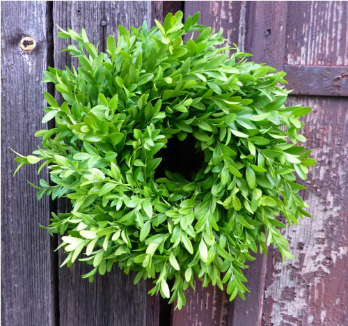Věnec buxus - Zelenáček