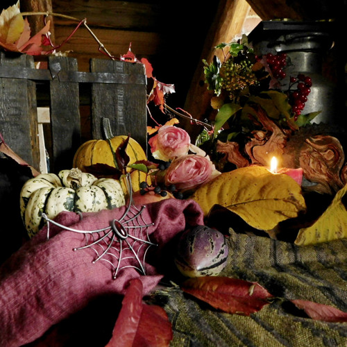 Vanitas... — foto 1