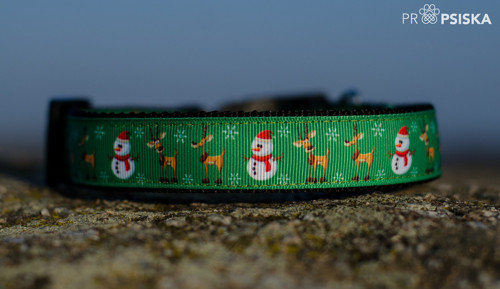 Obojek zelený vánoční, šířka 2,5 cm