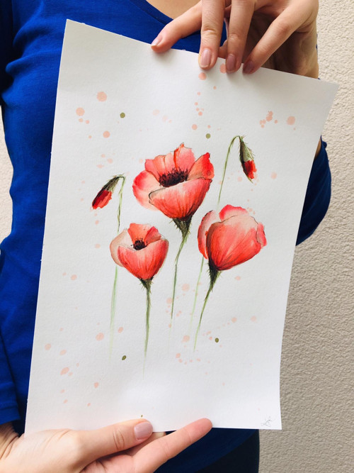 Vlčí mák — foto 1