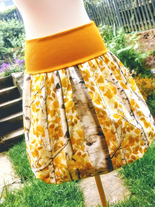Podzimní břízy — foto 1