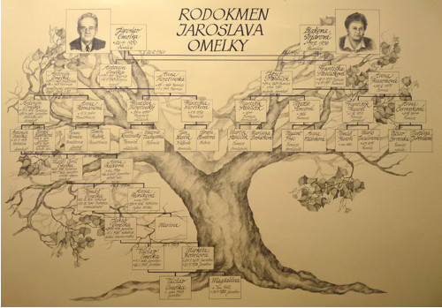 Kreba rodokmenu