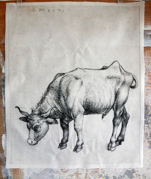 Látkový panel Býček 2 (A.Dürer) 30 cm x 37 cm