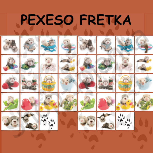 Fretka Pexeso — foto 1