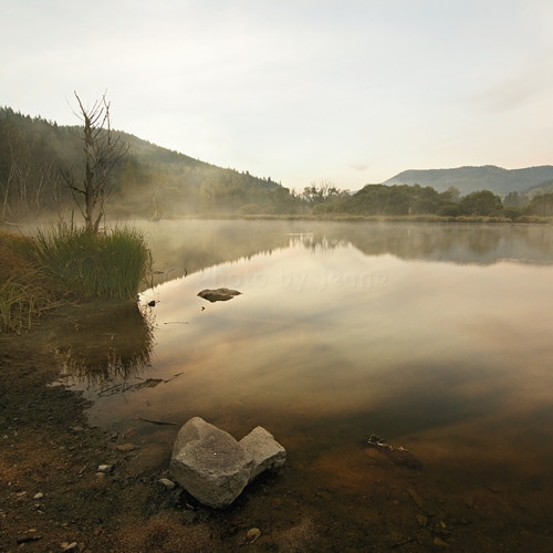 Mlhavá podzimní rána I. - autorská fotografie