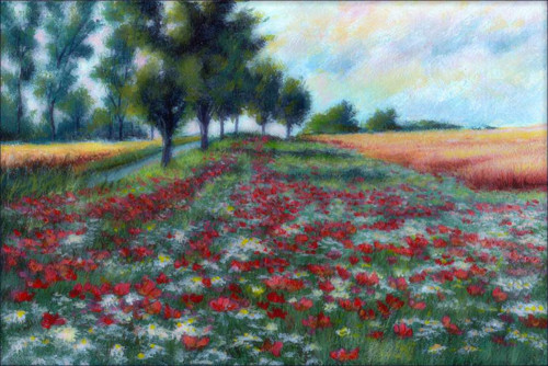 Kvetoucí meze 30x20cm