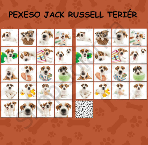 Jack Russell Teriér Pexeso — foto 1