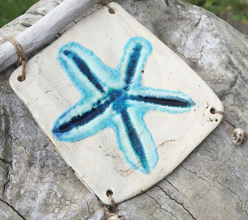 Obrázek hvězdice a driftwood — foto 1