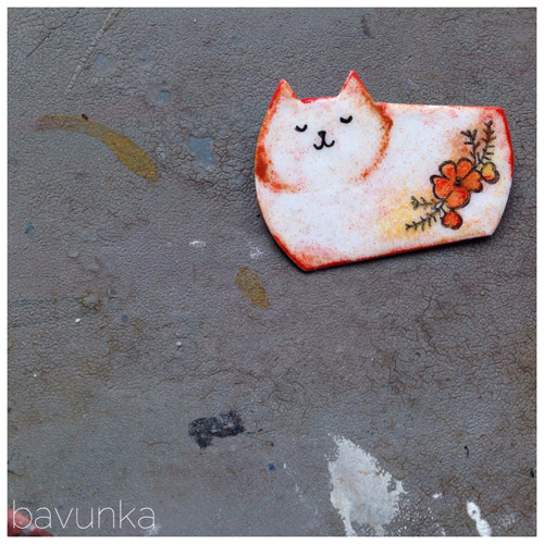 Kočka — foto 1