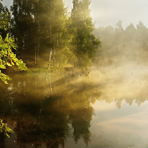 Mlhavá podzimní rána II. - autorská fotografie