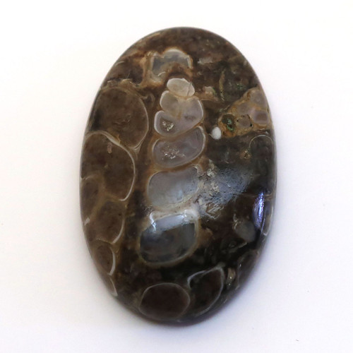 Kabošon turritella ovál 29mm