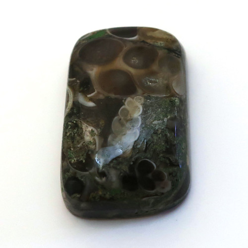 Kabošon turritella obdelník 22mm — foto 1